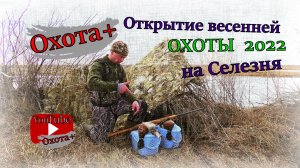 Открытие весенней охоты 2022 на селезня 4К. Ружье МЦ 20-01 1991 год #открытие #селезень #весна2022