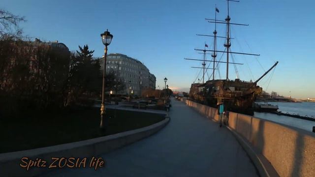 Прогулка со шпицем в Санкт-Петербурге во время карантина #шпицЗося #spitzZosia #pomeranian смотреть онлайн