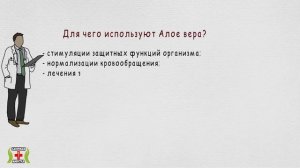 Алоэ вера - польза и вред для человеческого организма. Можно ли самостоятельно назначать алое вера?