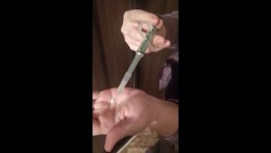 как кошке давать лекарства