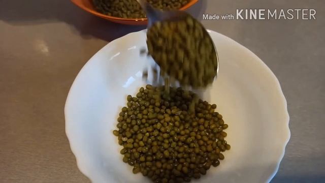 Ростки маша выращиваем сами