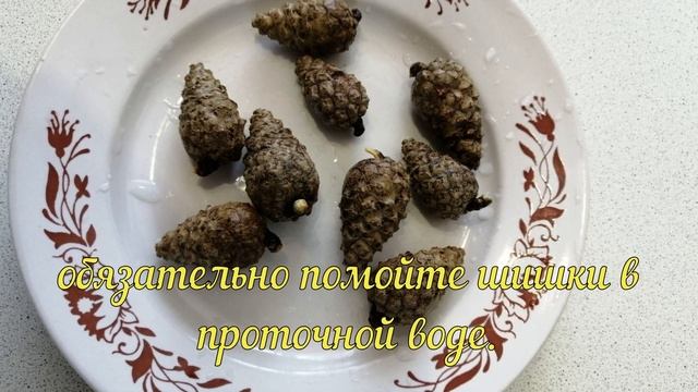 Чай из сосновых шишек