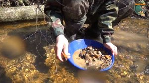 Золотой ручей. Поиск золота. Golden stream.