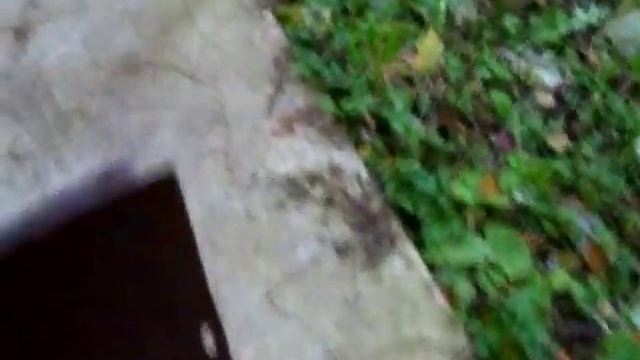 Отмостка вокруг дома. Прошло 2 года и никаких трещин!