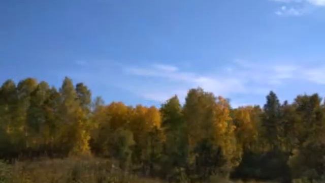 мои фото и клип на песню ддт что такое осень. смотреть онлайн