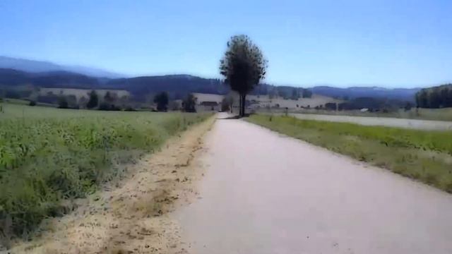 Metronomy - On the Motorway (bici) смотреть онлайн