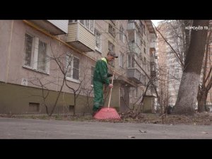 Такая работа: один день из жизни дворника