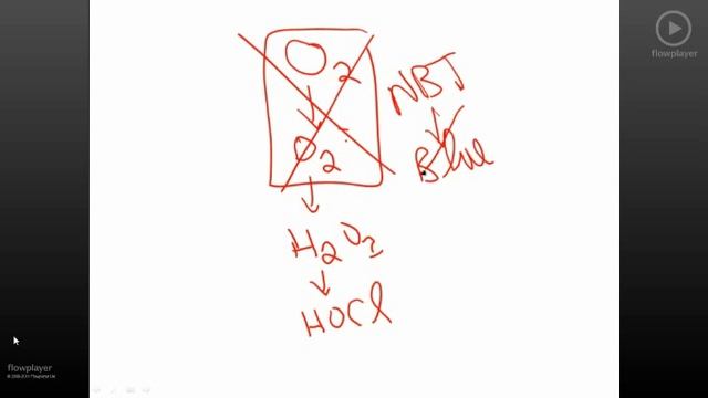 Pathoma USMLE - II ГЛАВА -  3.Воспаление 3/3