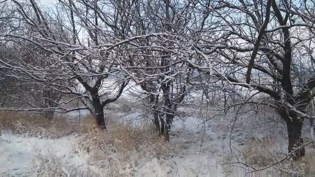 Медитация. Короткая медитация,  расслабление по  Екатерине Сокальской / Meditation. Short meditatio