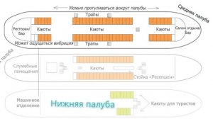 Какую каюту лучше выбрать на речных круизных теплоходах?