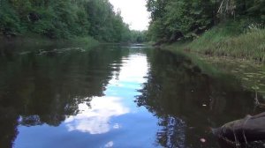 Ловля язя и окуня на малой реке на воблеры и блёсны. Река  Керженец