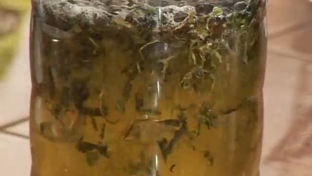 Завариваем зелёный чай в программе ,,ВкусНо". смотреть онлайн