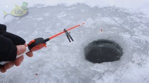 Секреты ловли плотвы в декабре от старого рыбака! Как на что и где ловить плотву в декабре?