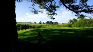 Новая Зеландия | Деревня Хоббитон