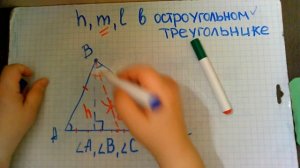 Высота  медиана биссектриса в  остроугольном треугольнике
