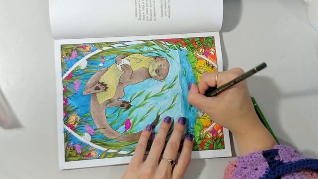 The Otter Part 3 - Mystic Animals by Stratten Peterson смотреть онлайн