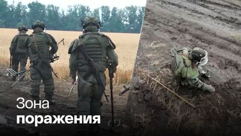 Пшеничные поля Донбасса очищают от украинских мин - Россия 24