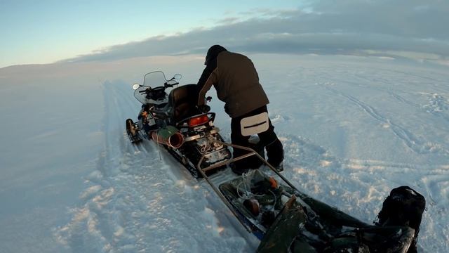 ЗА ГОЛЬЦОМ В ТУНДРУ НА СНЕГОХОДЕ. смотреть онлайн