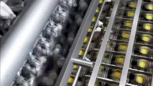 Пищевое производство  Удивительные производственные процессы. Залипательное видео для релакса и сна