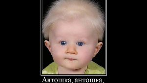 антошка антошка пойдём копать картошку