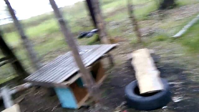 НАШЛИ ЧЕЙ ТО ШАЛАШ смотреть онлайн