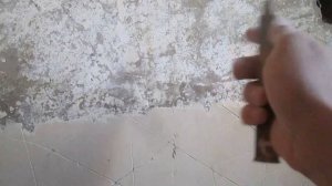 Как снять старую краску и шпаклёвку в олифе с бетонных стен! 100% способ!