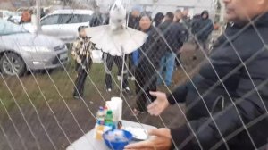 Роман "Донецкий" и его голуби на ярмарке в Шахтах. Самая дорогая пара из его голубей. Неоднозначно.