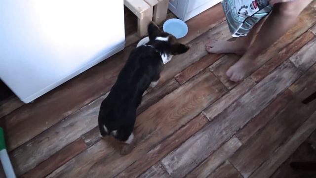 ВО ЧТО НАМ ОБХОДЯТСЯ💲 МОЙ НОВЫЙ "ПРОЕКТ" ? смотреть онлайн