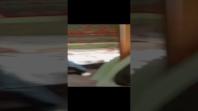 моя любимая собачка и сестра смотреть онлайн