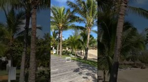 #luxgrandgaube    LUX* Grand Gaube  Маврикий 🇲🇺