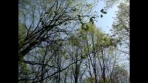 сергей наговицын на свиданку 2013 русский шансон блатные песни