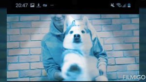 бублик и бандит клип