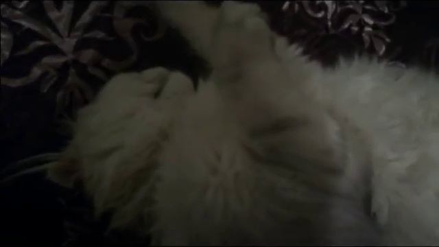 Летаргический сон продолжался 10 лет смотреть онлайн