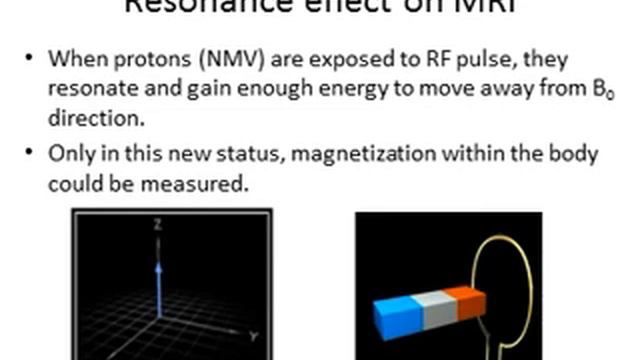 Origin of MRI Signal смотреть онлайн