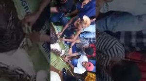 Шак огромная змея проглотила девушку