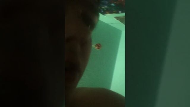 Morrowind Game Of The Year Edition Xbox unxboxing and review as well as Star Wars Episode I poster смотреть онлайн