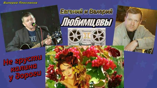 Евгений и Валерий Любимцевы - Не грусти калина у дороги