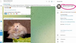 Лучшие 5 акций с дивидендами на 2024 год. Какие ценные бумаги приобрести сейчас? Анализ Сбербанка