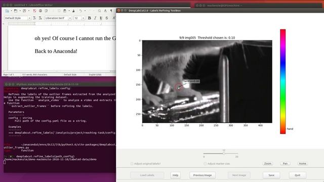 Tutorial Part II: DeepLabCut - network evaluation, refinement, and re-training смотреть онлайн