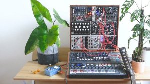 Anthurium - Ilsemanii [Sleep Music / Modular Synth / Generative / Chill]