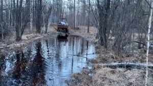 Сааскы кус