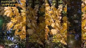 13 декабря особый день, это категорически нельзя делать в Андреев день