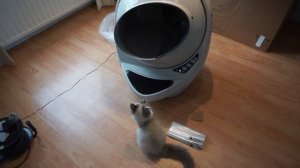 Новый Робот- туалет для кошки!?? Litter Robot Open Air!