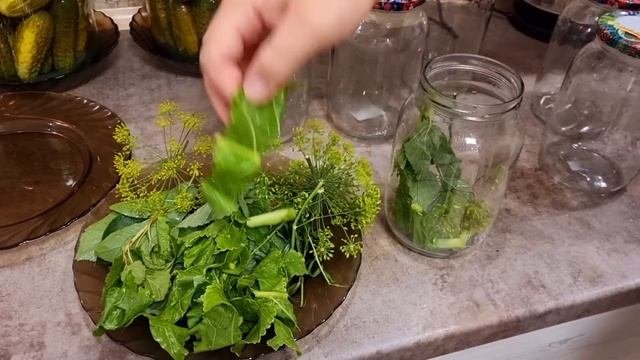 таких вкусных квашеных вы ещё не ели!