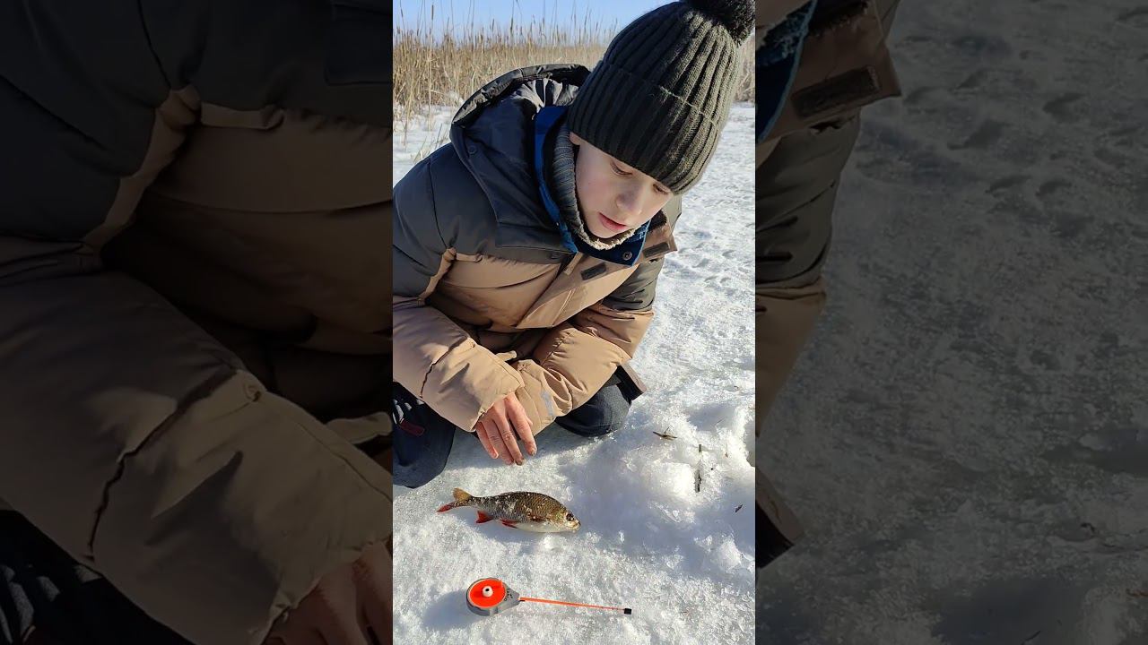 Рыбак тихушник Чтобы тебя не обурили соблюдай правила☝️ #рыбалка #красноперка #ловля #трофейная