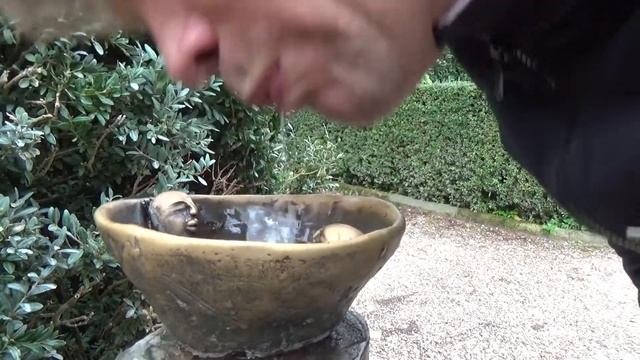 Прогулка в Садах Боболи. Италия, Флоренция. смотреть онлайн