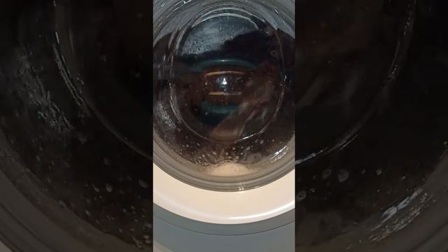 Bosh serie 2 A+++ смотреть онлайн