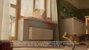 реклама китикет 2020