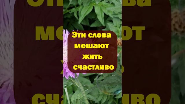 Эти слова мешают жить счастливо