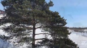 Пророчества Российских старцев о последних временах.